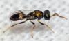 311127 – Photo : André Burgers – Espagne
